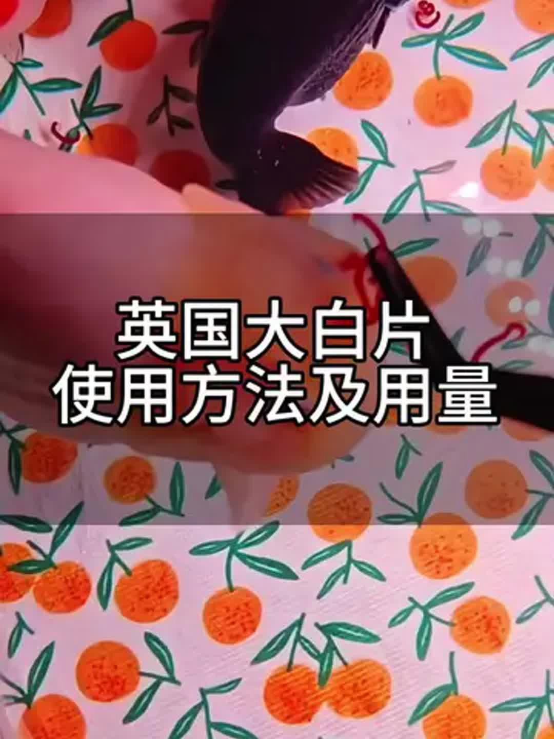 如何給龍魚做內外寄檢查？，《如何給龍魚做內外寄檢查》龍魚內外寄生蟲檢查的標準醫學方法