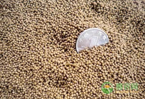 如何判斷龍魚飼料的質量？，《如何判斷龍魚飼料的質量？》