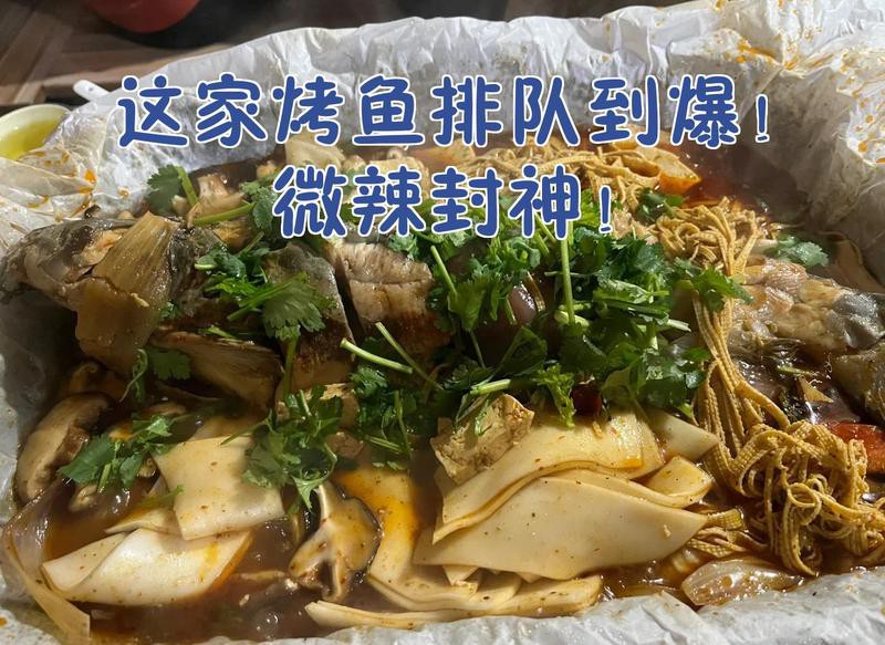 寶雞龍魚店，寶雞龍魚店哪家口碑最好