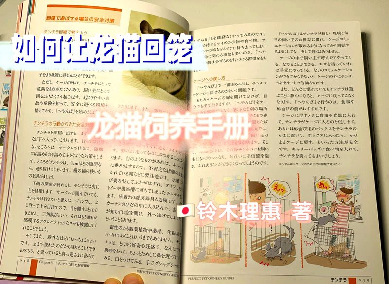 如何引導龍貓主動回籠？，如何引導龍貓主動回籠