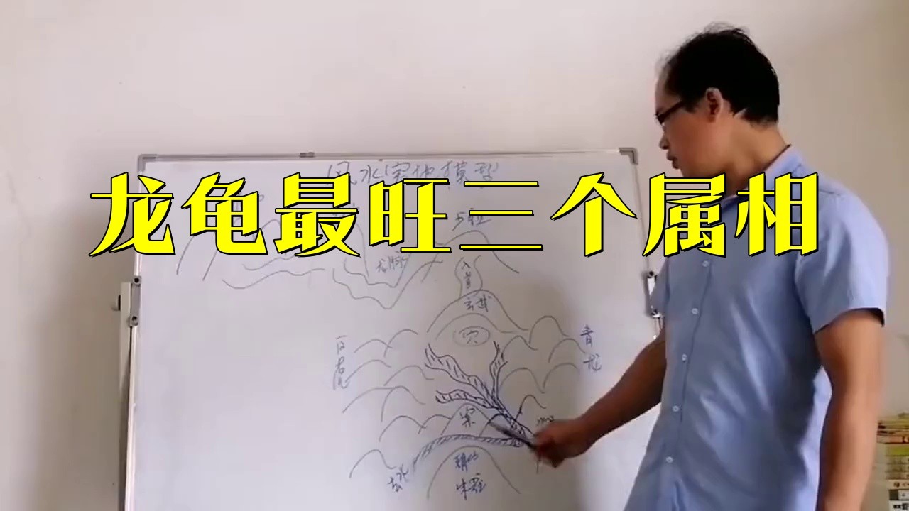 哪些生肖的人適合擺放龍龜？，哪些生肖的人適合擺放龍龜風水寶器犯懶大王康康編輯
