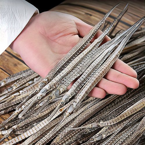 如何辨別真假海龍干？，海龍科動物干燥體的鑒別與市場混淆問題解析微光中的小宇宙