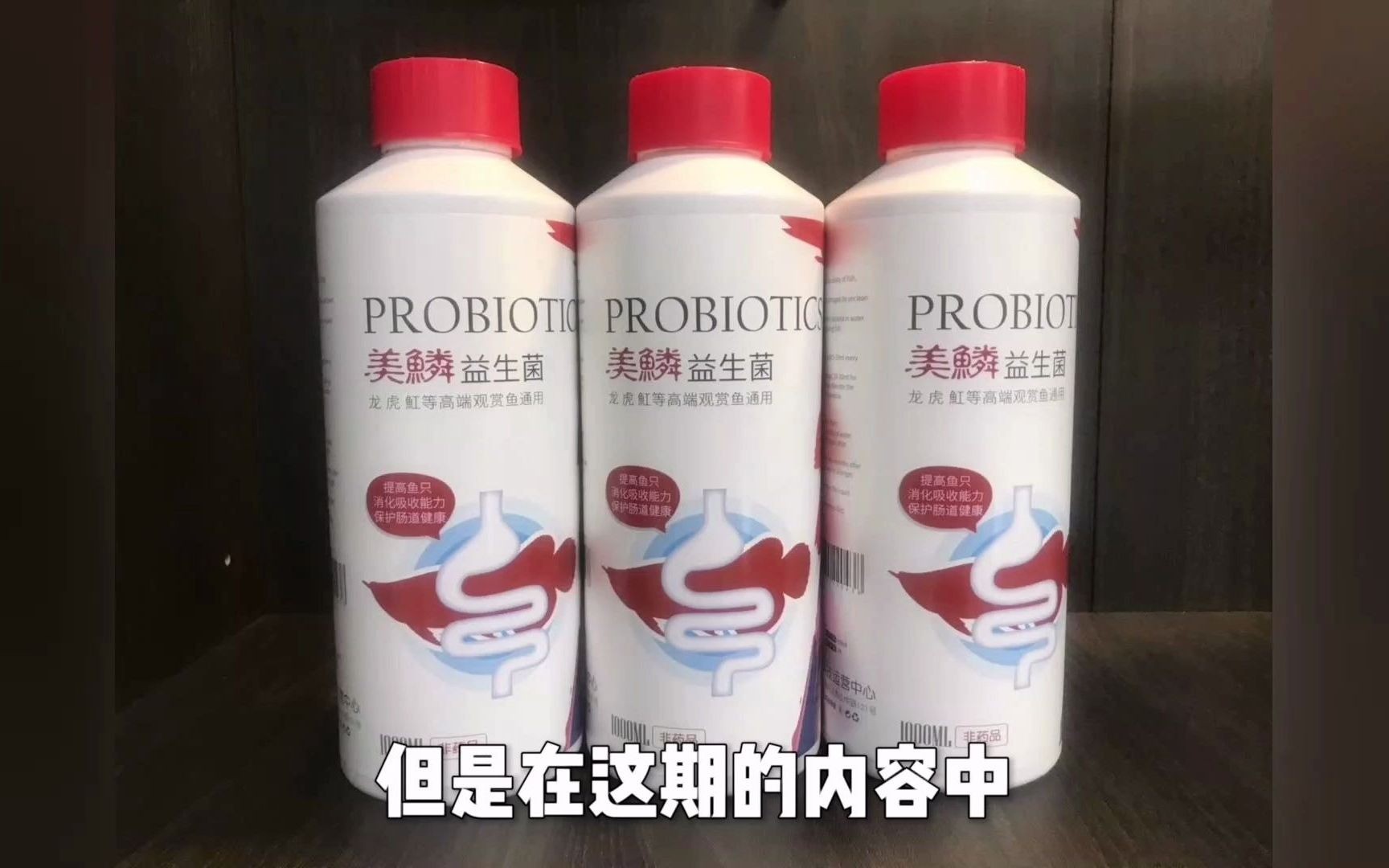 如何改善龍魚的消化功能，新景致水族館李河敏龍魚消化不良引起的脫肛應該怎樣治療分享