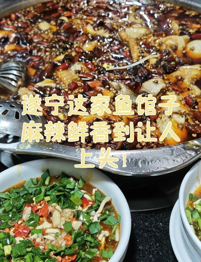 遂寧龍魚店，遂寧美食探秘