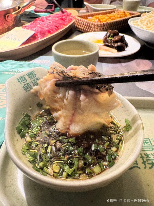 中甸龍魚店，“中甸龍魚店”的具體信息公開資料中未查詢到關于“中甸龍魚店”的具體信息