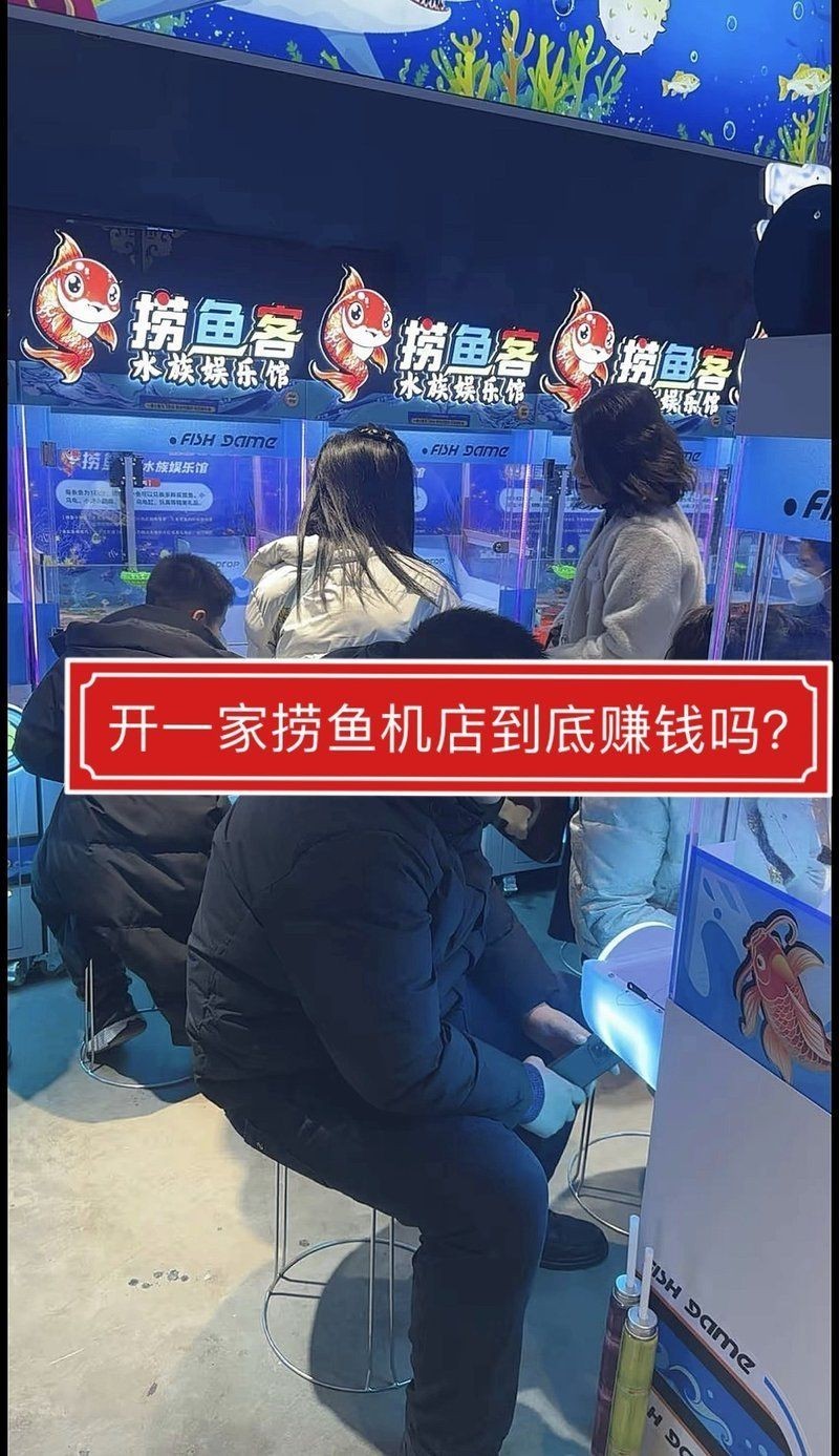 撈魚機開一個虧本經歷，《撈魚機開一個虧本經歷》