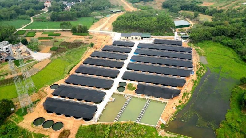 貴港魚缸批發(fā)市場，廣西重要的水族用品集散地——貴港魚缸批發(fā)市場