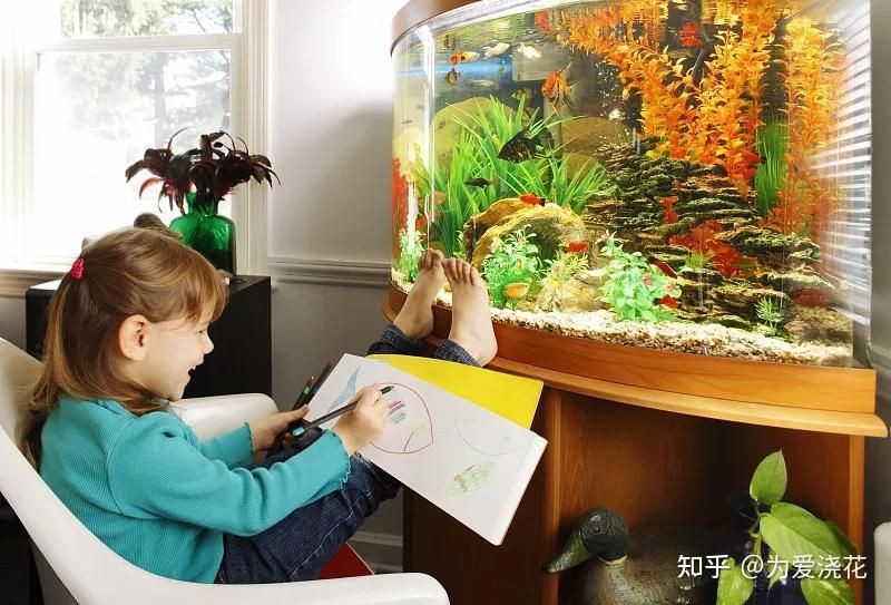 畢節魚缸定做，畢節興義魚缸定做
