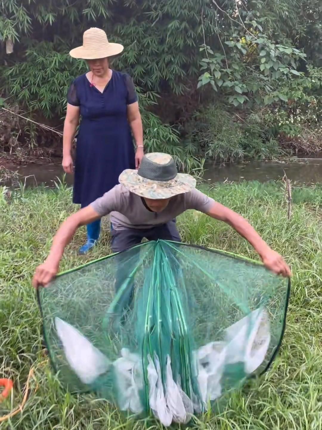 魚籠的材質哪種最好，《魚籠的材質哪種最好》