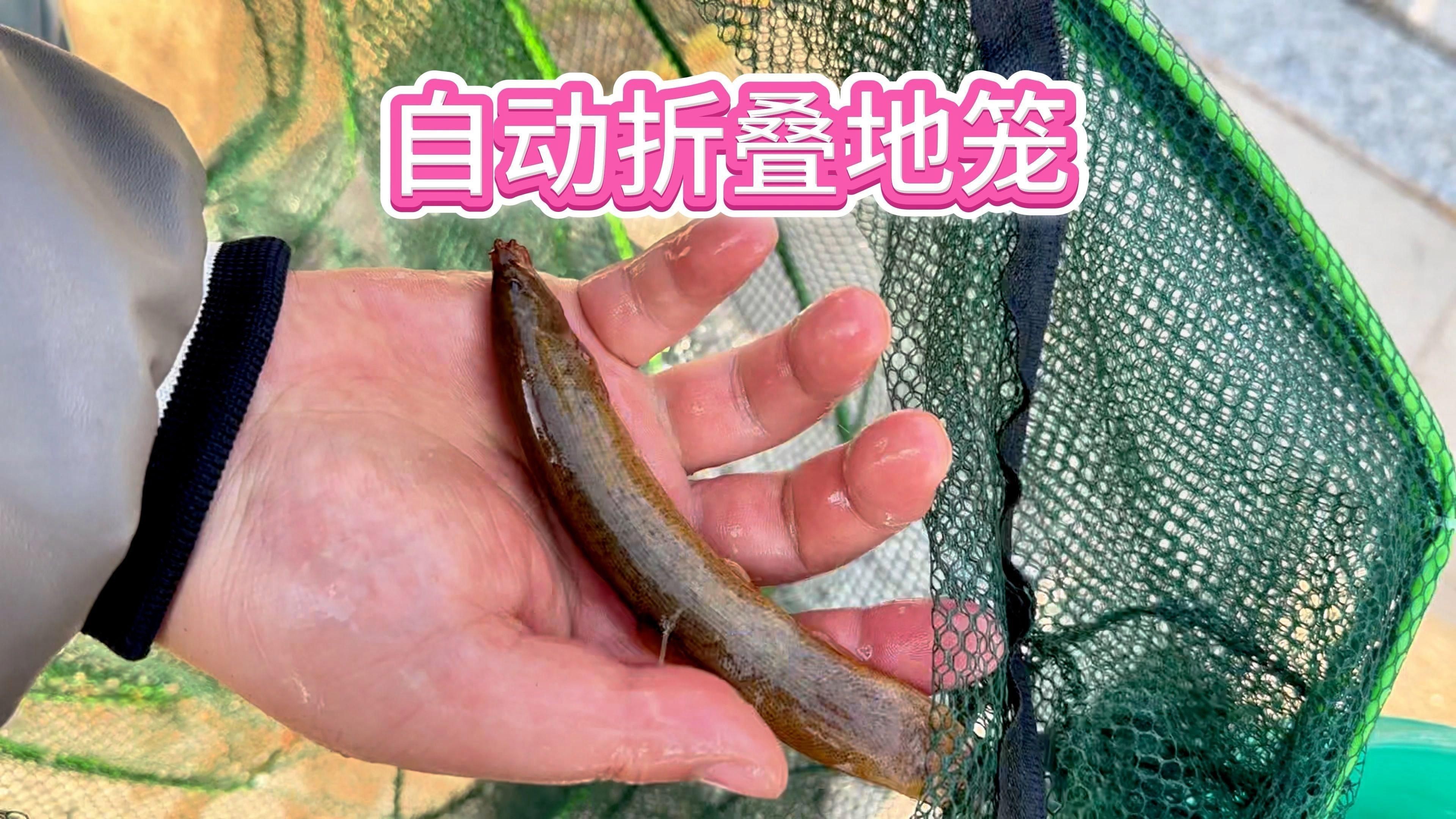 魚籠的材質哪種最好，《魚籠的材質哪種最好》