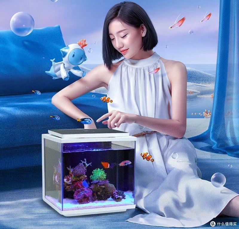 家庭用水族魚缸，家庭水族魚缸選購(gòu)與養(yǎng)護(hù)全攻略