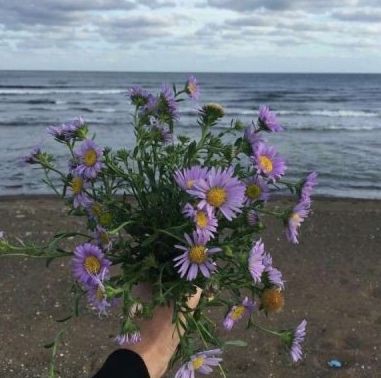 赤峰水族店，紅山區世堯水族大世界店