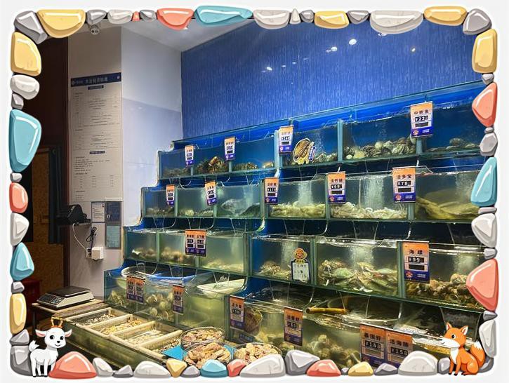 江陵龍魚店，江陵地區(qū)有沒有龍魚店