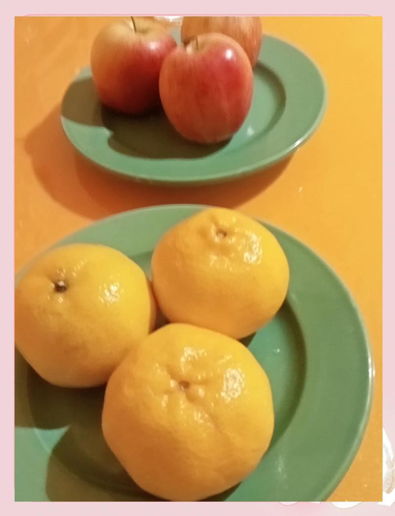 佛教里牛奶是葷還是素，佛教對(duì)牛奶的葷素分類是一個(gè)復(fù)雜且存在不同解讀的問題