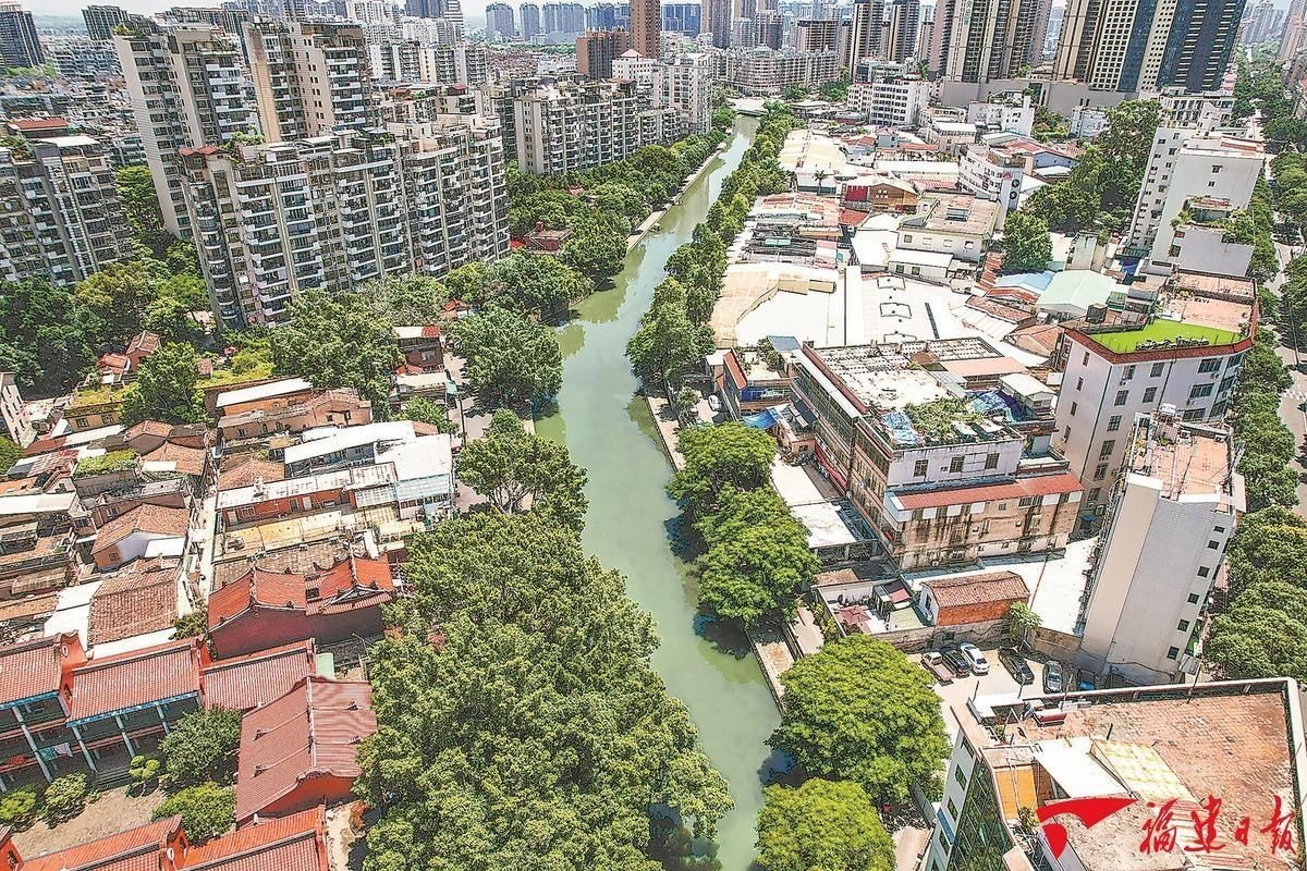 漳州龍魚店，漳州的龍魚故事 漳州龍魚店，漳州的龍魚故事 全國水族館企業名錄 第9張