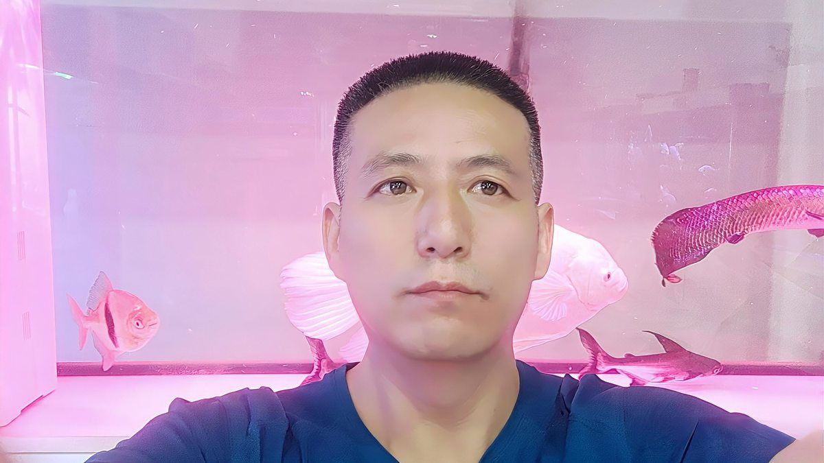 楊凌水族店，楊凌地區(qū)水族店分布廣泛且各具特色