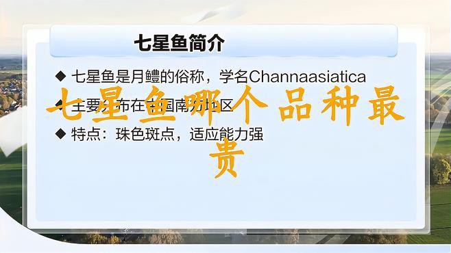 七星魚和雷龍魚的價格差異大嗎？，七星魚與雷龍魚的價格差異顯著，七星魚和雷龍魚哪個更好養