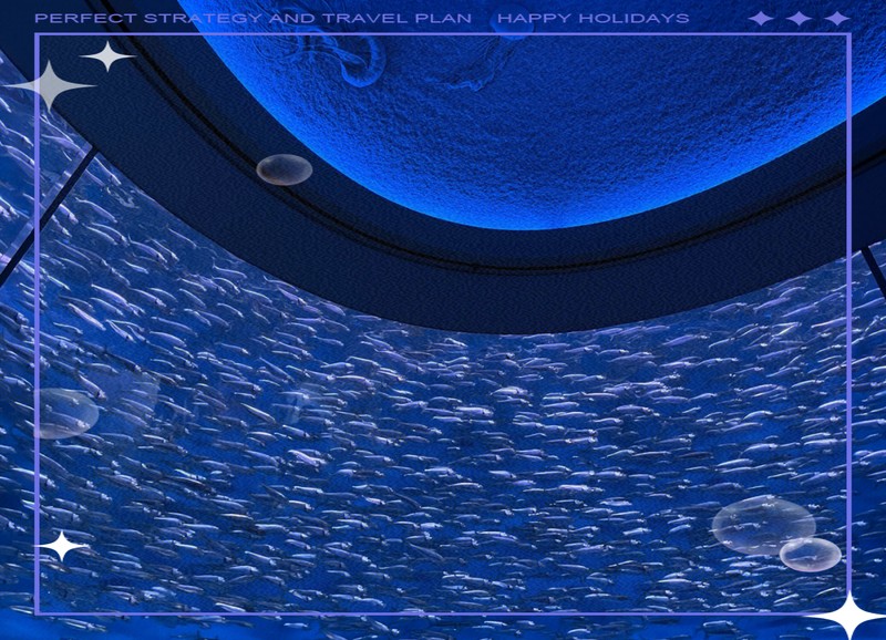 拐子湖水族店，一路i向北拐子湖水族店