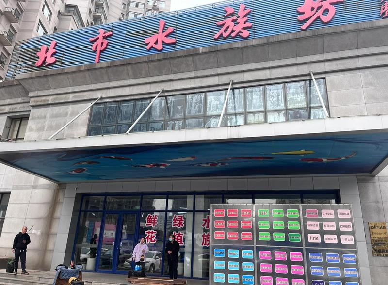 拐子湖水族店，一路i向北拐子湖水族店