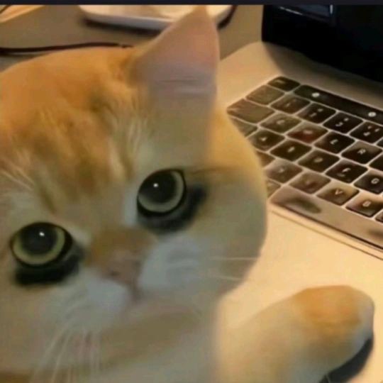 阿里魚缸維護，家庭魚缸水質(zhì)維護