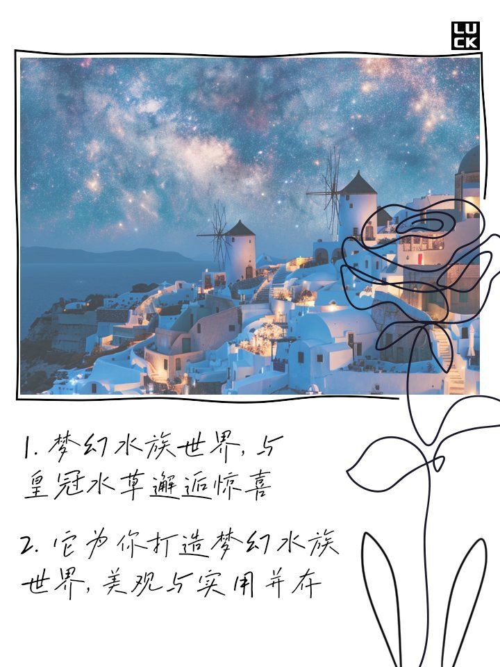 林芝魚缸店，林芝地區的魚缸店展現出獨特的地域特色與專業服務