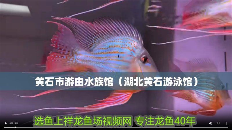 黃石水族館，游客能清晰坐落于重慶