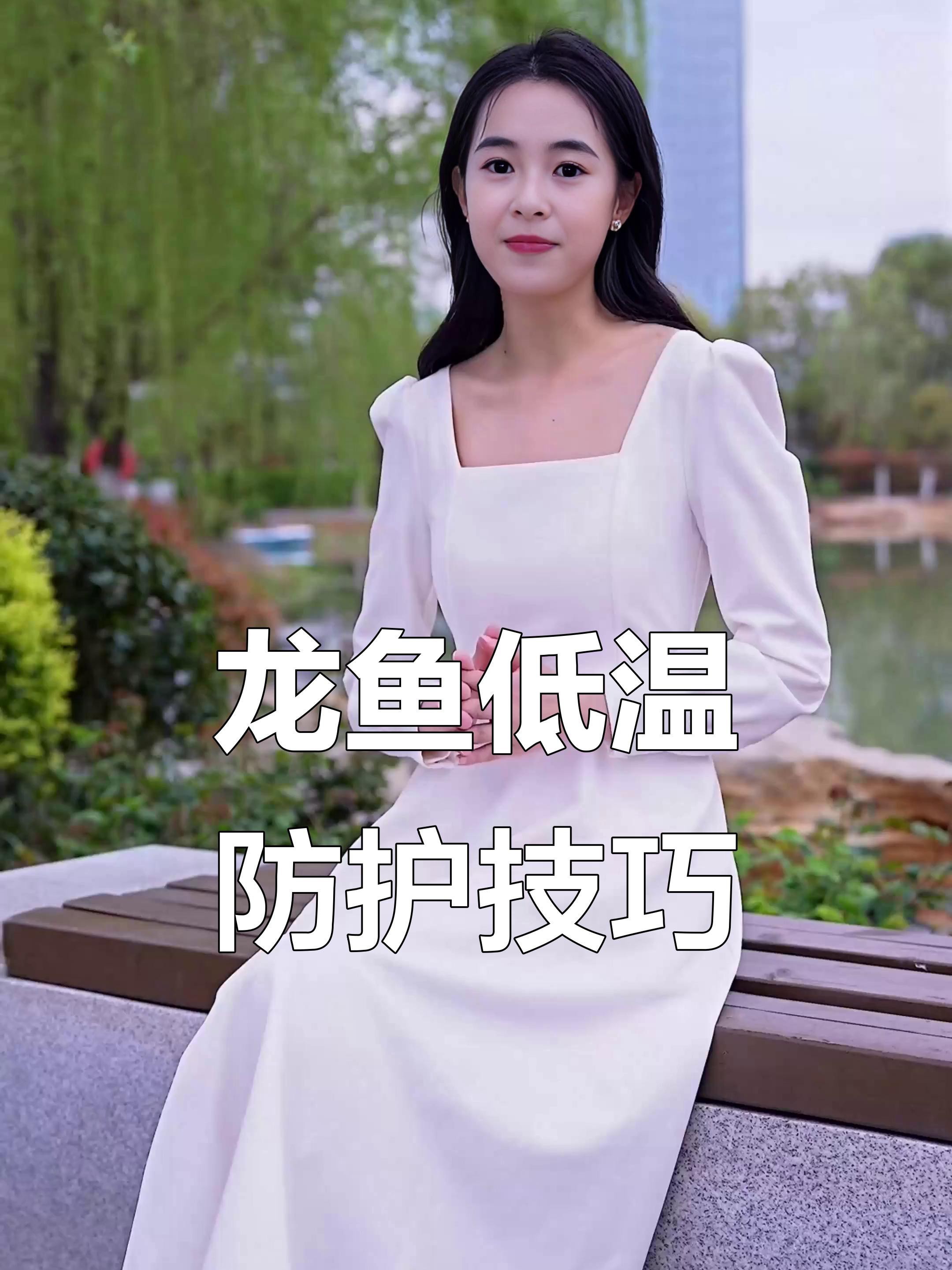 如何治療龍魚的立鱗病？，萌寵專家龍魚立鱗癥狀與治療方法