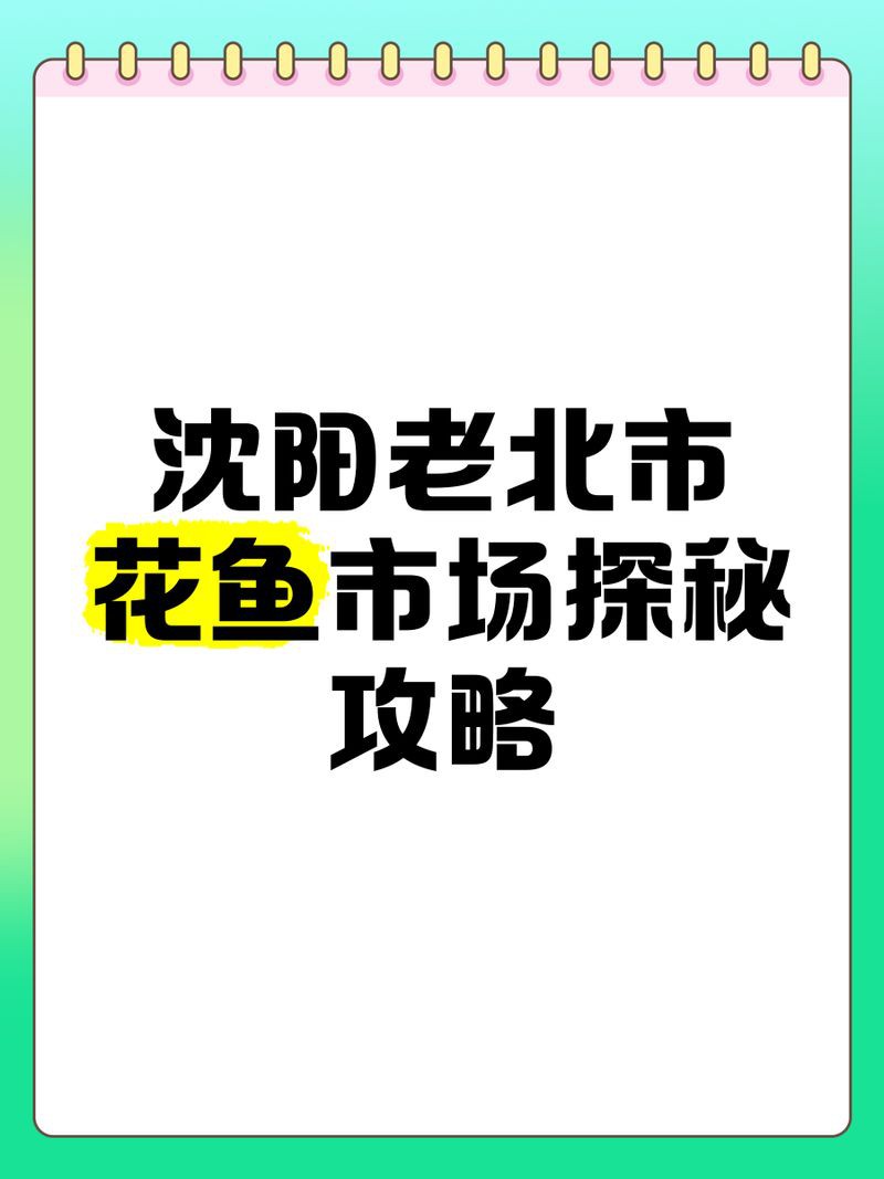 沈陽魚缸批發市場，沈陽魚缸批發市場的優勢