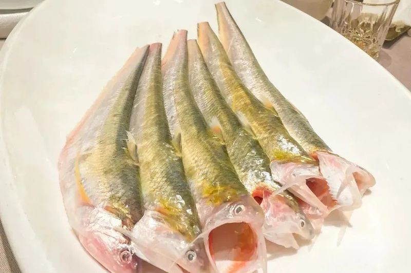 海刀魚屬于什么檔次，江刀好還是海刀好,實用生活,長江十年禁捕!