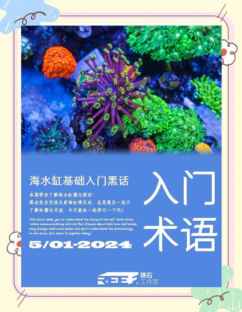 韶關水族批發市場，韶關水族市場等你來探索,
