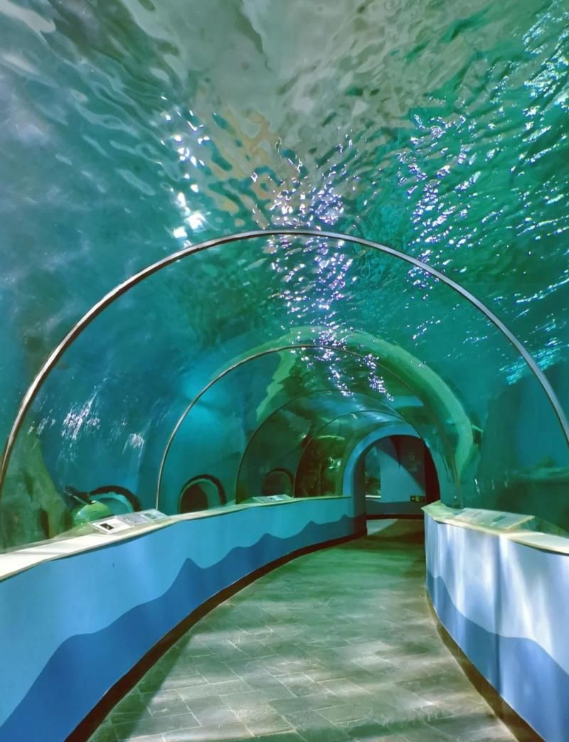 蘇州水族店，蘇州水族行業(yè)發(fā)展趨勢