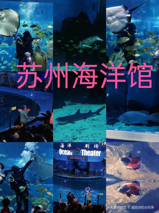 蘇州水族店，蘇州水族行業(yè)發(fā)展趨勢
