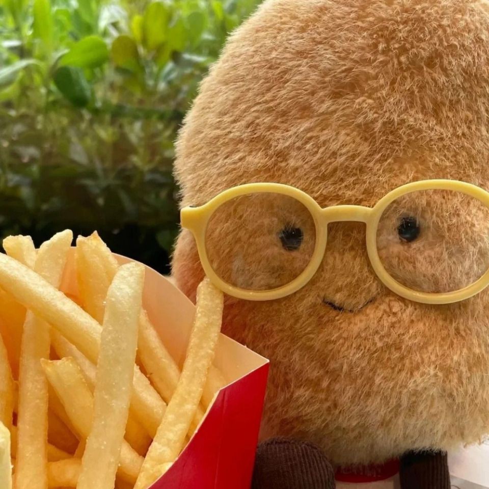 澳門魚缸店，澳門魚缸店打卡攻略小眾又出片柴可豬斯基柴可豬斯基