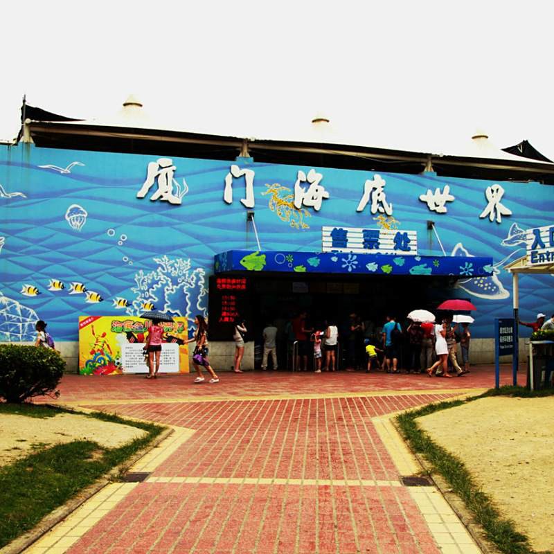 廈門水族店，廈門海底世界有限公司廈門海底世界有限公司打卡攻略