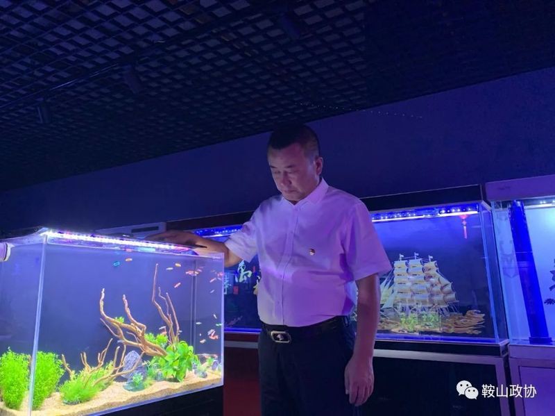鞍山魚缸批發(fā)市場(chǎng)，鞍山三臺(tái)子觀賞魚交易中心