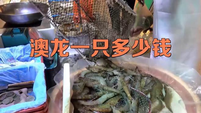 哪些因素會(huì)影響澳龍的價(jià)格？，八鮮過海愛生鮮澳龍一只多少錢星穹芙芙一只多少錢