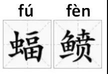 福分是什么魚，海洋中最溫柔的巨人蝠鲼（fufen）是海洋中最溫柔的巨人