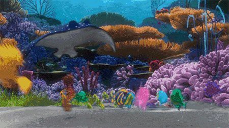 福分是什么魚，海洋中最溫柔的巨人蝠鲼（fufen）是海洋中最溫柔的巨人