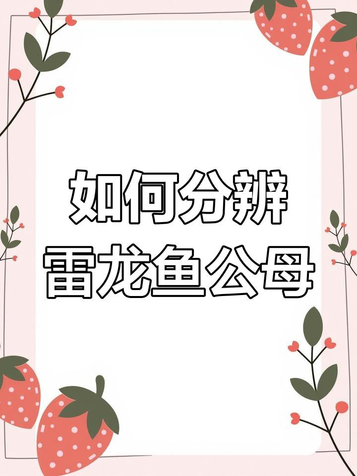 如何區分七彩雷龍魚的公母？，七彩雷龍魚公母分辨技巧,四種方法教你輕松辨別