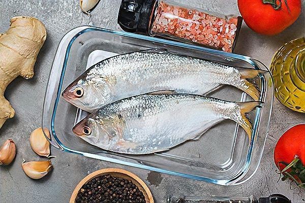 鰳魚俗稱什么魚，吃一口鰳魚把春天吃進肚里
