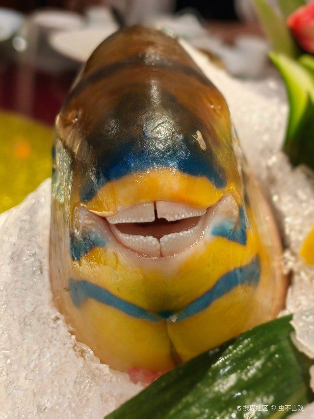 廣州最大的淡水魚批發市場,廣州最大淡水魚批發市場——黃沙水產交易市場 全國水族館企業名錄 第5張 廣州最大的淡水魚批發市場,廣州最大淡水魚批發市場——黃沙水產交易市場 廣州最大的淡水魚批發市場,廣州最大淡水魚批發市場——黃沙水產交易市場 全國水族館企業名錄 第5張