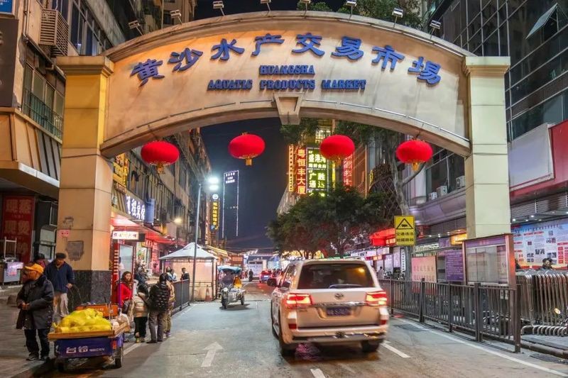 廣州最大的淡水魚批發(fā)市場(chǎng)，廣州最大淡水魚批發(fā)市場(chǎng)——黃沙水產(chǎn)交易市場(chǎng)