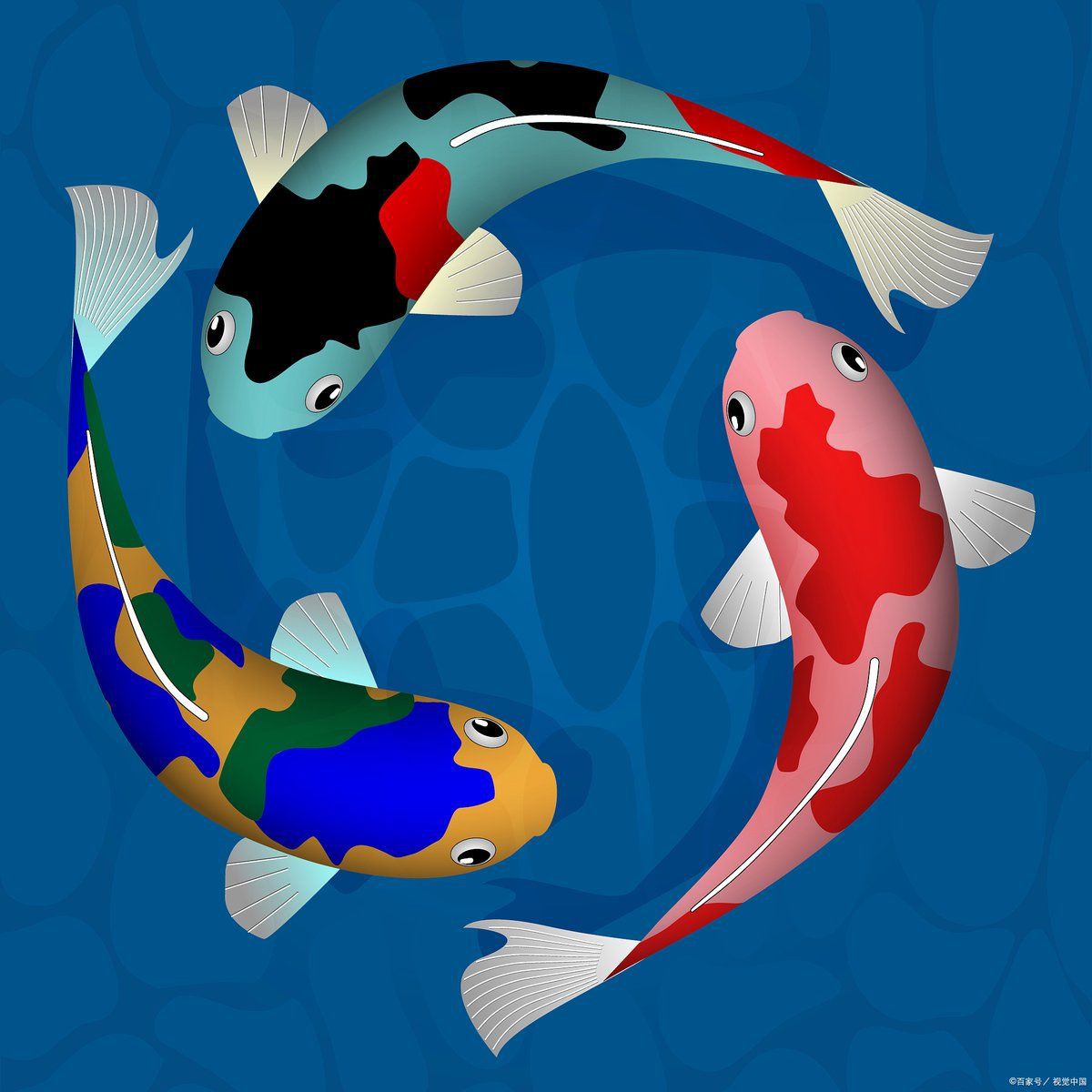 好運錦鯉的寓意和象征，錦鯉的寓意和寓意 好運錦鯉的寓意和象征，錦鯉的寓意和寓意 全國水族館企業(yè)名錄 第15張