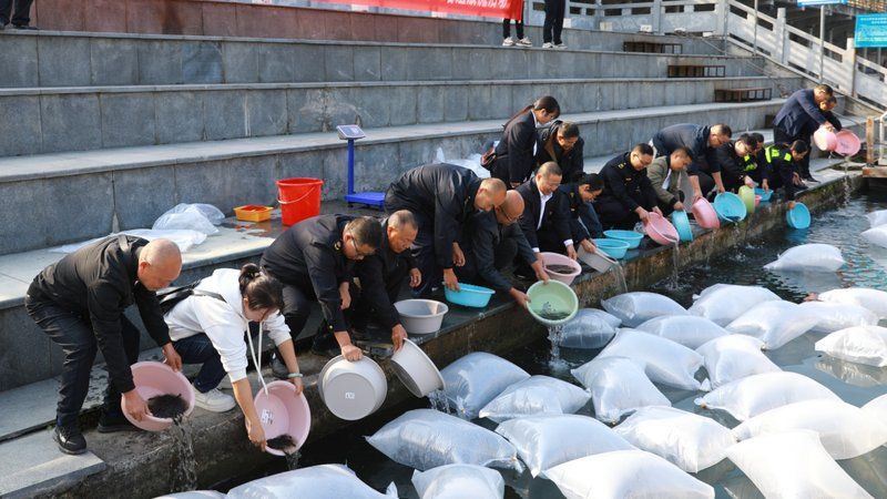 黔東南苗族侗族自治州魚缸維護，黔東南苗族侗族自治州魚缸生態維護指南