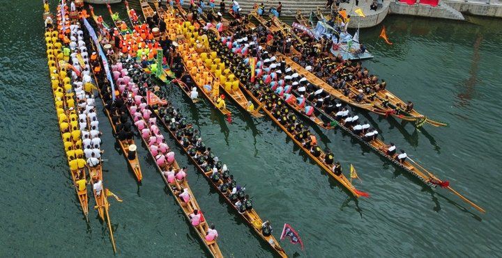 黔東南苗族侗族自治州魚缸維護，黔東南苗族侗族自治州魚缸生態維護指南