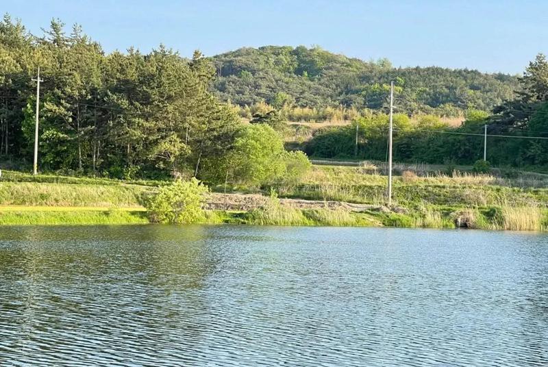 如何選擇合適的小金龍魚飼料？，如何選擇合適的小金龍魚飼料