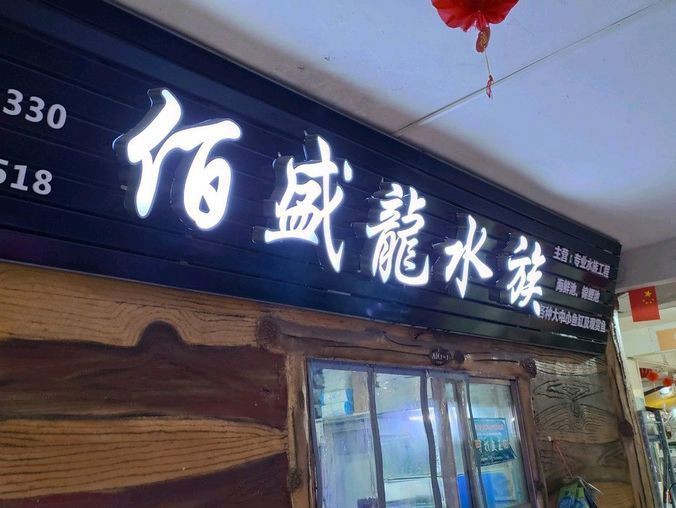 武漢魚缸維護,武漢魚缸專業維護全攻略 全國水族館企業名錄 第7張 武漢魚缸維護,武漢魚缸專業維護全攻略 武漢魚缸維護,武漢魚缸專業維護全攻略 全國水族館企業名錄 第7張