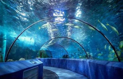榆次水族店，晉中市榆次區水族店哪家口碑最好