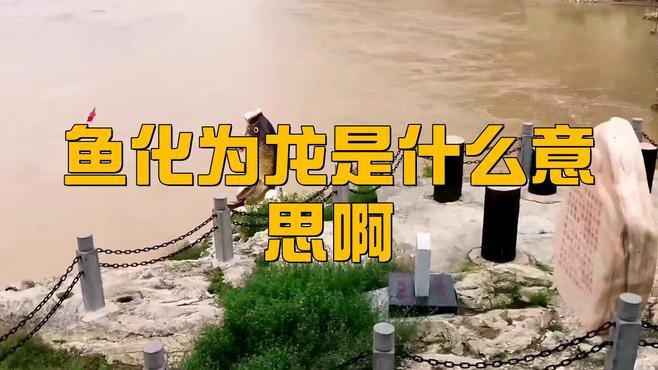 “魚化龍”傳說具體是什么，“魚化龍”是中國傳統(tǒng)文化中極具象征意義的神話傳說與藝術(shù)題材