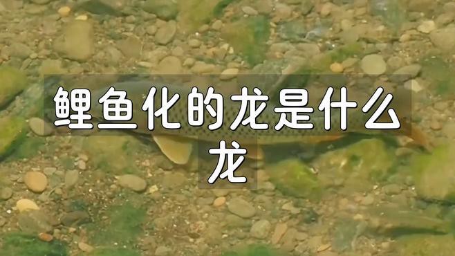 “魚化龍”傳說具體是什么，“魚化龍”是中國傳統(tǒng)文化中極具象征意義的神話傳說與藝術(shù)題材